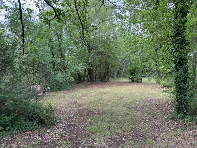 Emplacements pour tentes dans le sous-bois