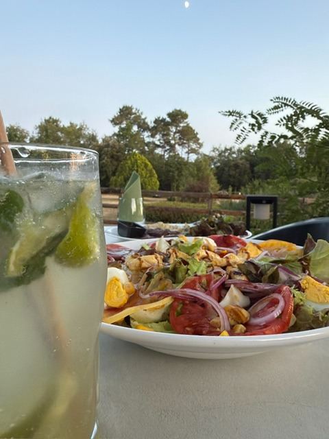 Mojito et salade en terrasse